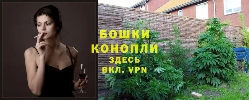 Марихуана THC 21%  Курск 